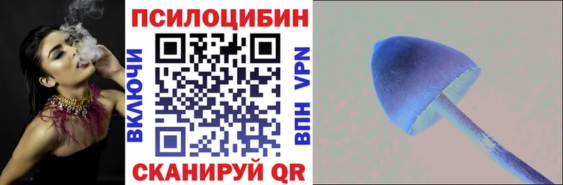 Псилоцибиновые грибы Cubensis  Долинск 